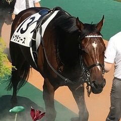 競馬予想