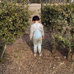 不要な男の子服ください【100cm】