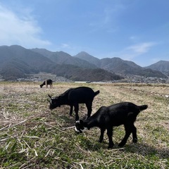 【移住相談！２拠点‼︎多拠点☆】長野県へ移住を検討中の方、ご相談に乗ります - 千曲市