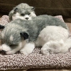 わんちゃん　置き物の画像