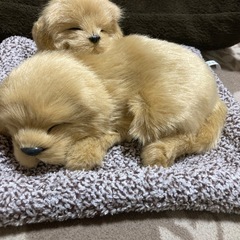 わんちゃん　置き物の画像
