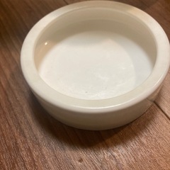 両生類、爬虫類、石、エサ皿、赤外線ヒーターダントツくんヒーターセットの画像