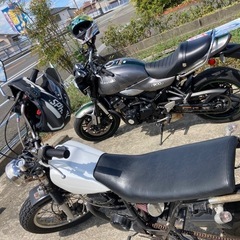 ゆっくり走れりバイク友達募集 - 友達