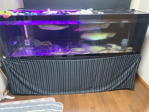 大型水槽