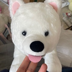 サモエドのこいぬ