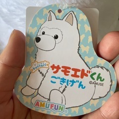 サモエド ぬいぐるみ(大)の画像