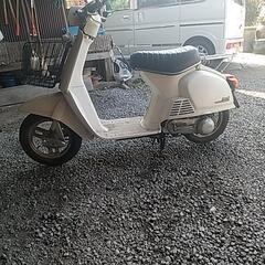 ホンダタクトフルマーク
