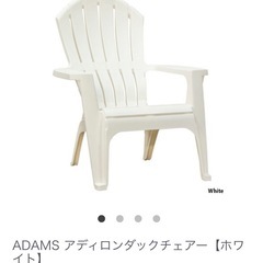 DULTON【美品】アディロンダックチェアとサイドテーブルセットの画像