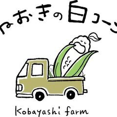 白コーン直売所、6月中旬～期間限定OPEN！