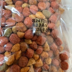 （お話し中）愛犬元気パックンの画像