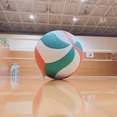 男女混合バレーボール