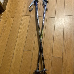 スキーストック　77cm
