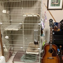 猫大型ケージ