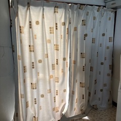 遮光　カーテン　175センチ