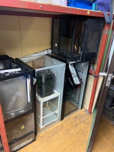 爬虫類ゲージ

