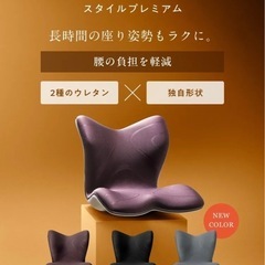 style premium チェアの画像