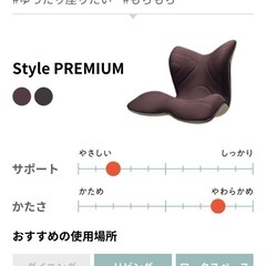 style premium チェアの画像
