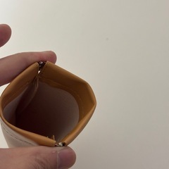 【おまけ 断捨離】メガネケースの画像