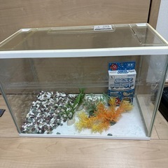 水槽