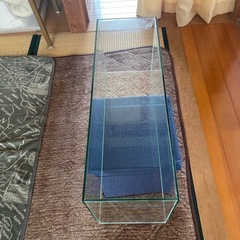 gexスリム水槽の画像