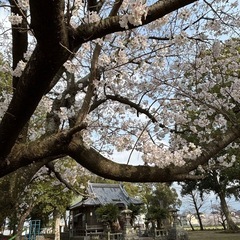 開運神社ヨガ