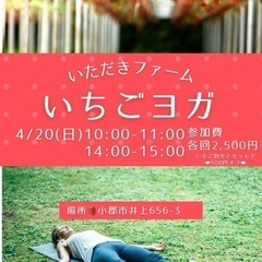 いちごヨガ