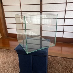 決まりましたコトブキ30キューブ水槽の画像
