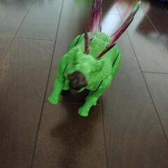ダイナソーのおもちゃの画像