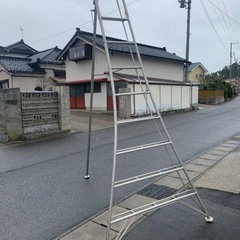 中古　園芸梯子　ハシゴ　はしご