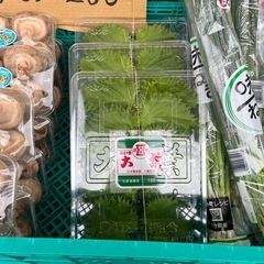 【残1パック】愛知県産🌱大葉3パック入荷しました✨