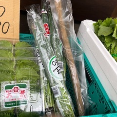 ごぼう入荷しました！✨