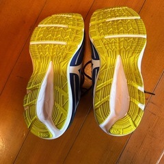 【スニーカー】ミズノ25.0運動靴の画像