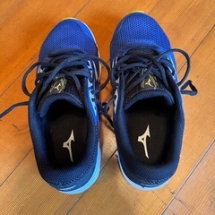 【スニーカー】ミズノ25.0運動靴の画像