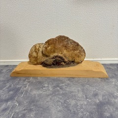 猿の腰掛け　置物の画像