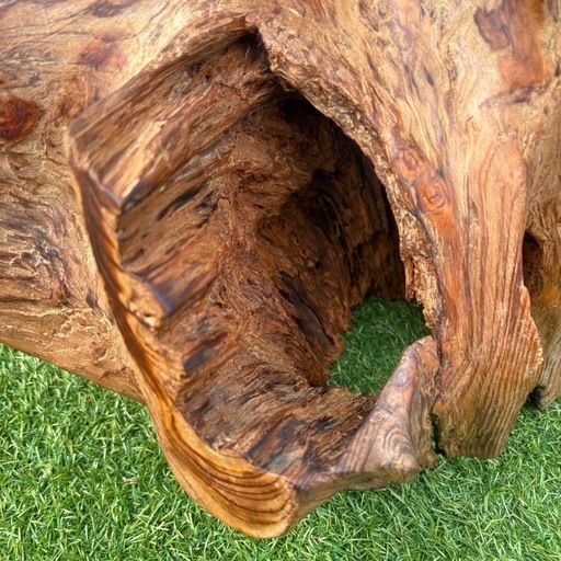 希少】大型流木 アクアリウム エアプランツ 爬虫類 シェルター ホーン