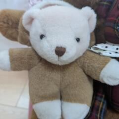 クマたちのぬいぐるみの画像