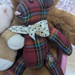 クマたちのぬいぐるみの画像