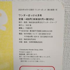 ※5月17日廃棄※総額5,160円!!絵本/ワンダーぽっけ/12冊まとめ売りの画像