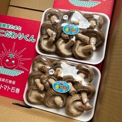 ジャンボしいたけ1パック価格の画像