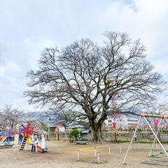 楽に楽しくリズミカルな修行「樂行」仲間募集中🧘‍♀️無料で参加！