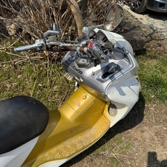 フォルツァ250 mf06 エアサスの画像