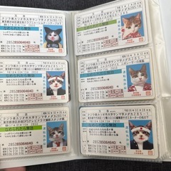 劇レア　なめんなよ　免許証１９枚セットの画像