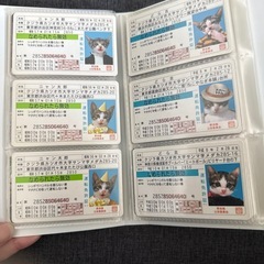 劇レア　なめんなよ　免許証１９枚セットの画像