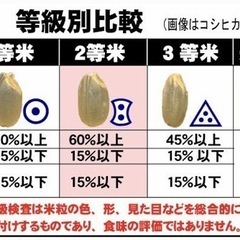 茨城県のコシヒカリの中古が安い！激安で譲ります・無料で