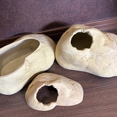 爬虫類シェルター