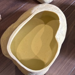 爬虫類シェルターの画像