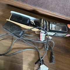 爬虫類サーモスタット