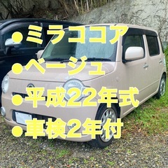 かわいいココア❤︎検査満タン33万円