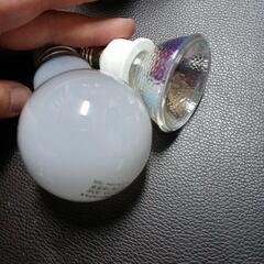 電球2個の画像