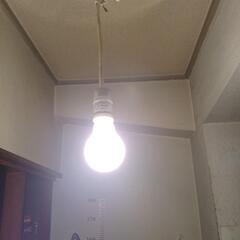 電球2個の画像